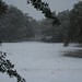 Robert Weiss Photo 27