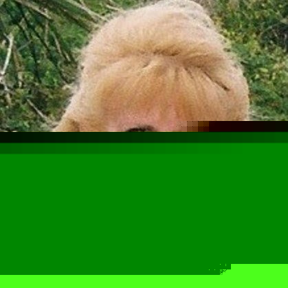 Joy Carpenter Photo 16