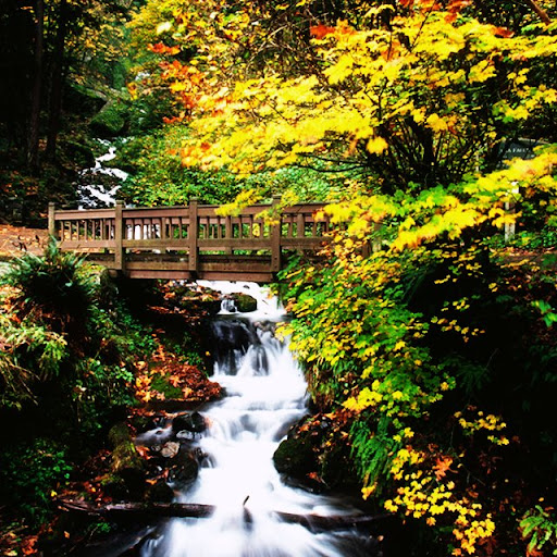 Adela Sandoval Photo 11