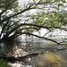 Samuel Rhines Photo 5