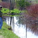 Kathleen Conn Photo 11