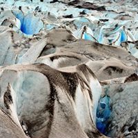 Daniel Chen Photo 41