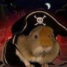 Chuck Webster Photo 16