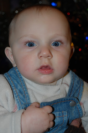 Catherine Cardin Photo 3