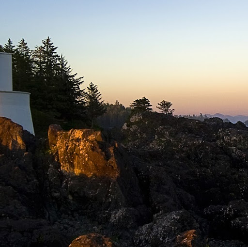 Denise Breton Photo 13