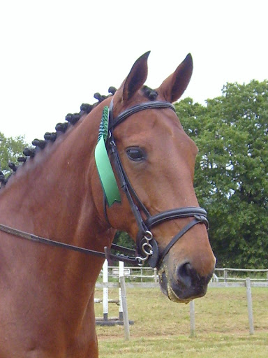 Samantha Owen Photo 8