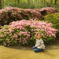 Kathryn Plowman Photo 2