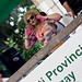 Deborah Pace Photo 32