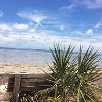 Jane Gallagher Photo 12 Jane Gallagher Photo 12