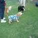 Susie Carter Photo 12