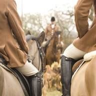 Sandra Shaffer Photo 24