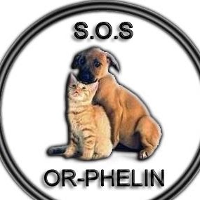 Julie Hebert Photo 42