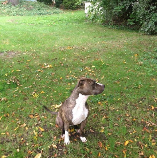 James Whiting Photo 19