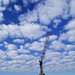 Richard Ivey Photo 47