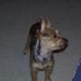 Josh Clemmons Photo 6