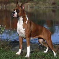 Jerry Simpson Photo 27