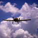 Steve Freeman Photo 35
