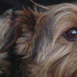 Gillian Knight Photo 31