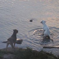 Stephen Key Photo 27