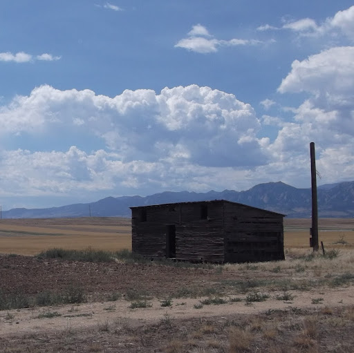 Timothy O'Donohue Photo 1