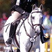 Cecil Davidson Photo 11