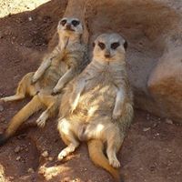 Andrew Groff Photo 23