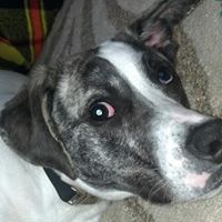 Michele Beyer Photo 8