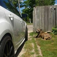 Michelle Chiasson Photo 15