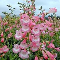 Theresa Stubbs Photo 9