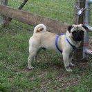 Dennis Dailey Photo 6