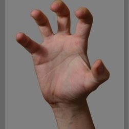 Ralph Romano Photo 12