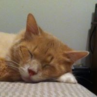 Rosemary Lara Photo 12