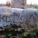 Eric Cross Photo 20