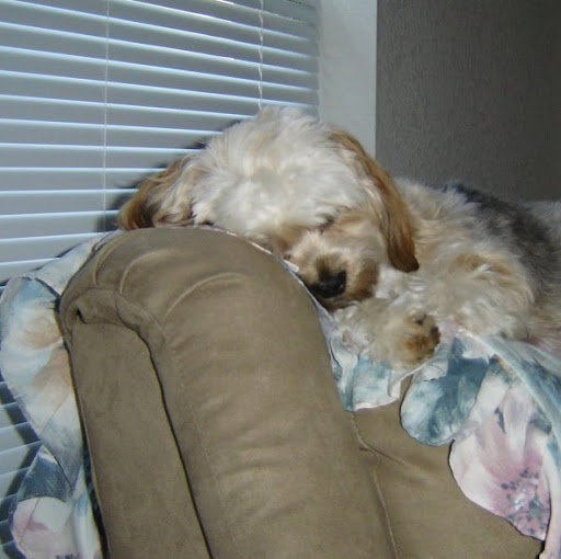 Rebecca Lang Photo 32