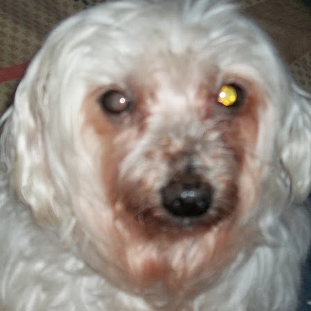 Robin Phipps Photo 5