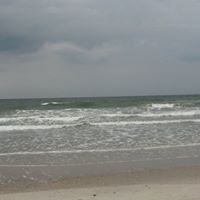 Deborah Crenshaw Photo 14
