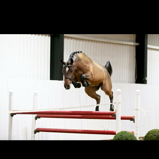 Devon Murray Photo 15 Devon Murray Photo 15