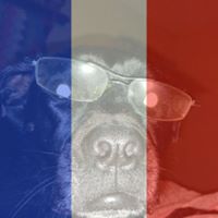 Robert Bode Photo 33