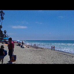 Denise Downs Photo 24