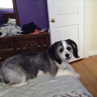 Susan Brooker Photo 7
