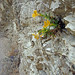 Sam Merrill Photo 8