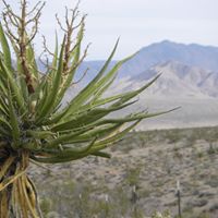 Jane Whitmore Photo 10