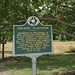 Robert Dockery Photo 30