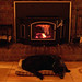 Bridget Wood Photo 6