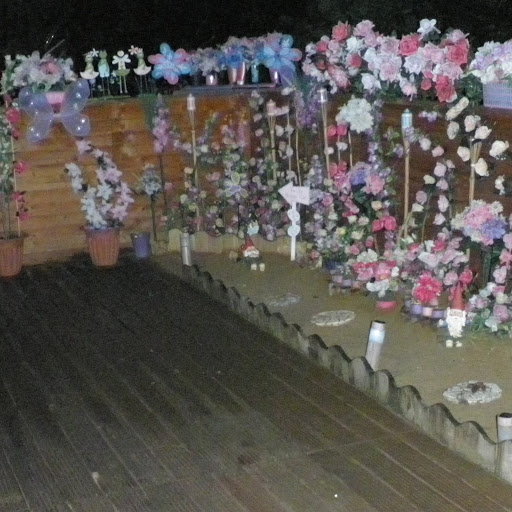 Sherry Cox Photo 32