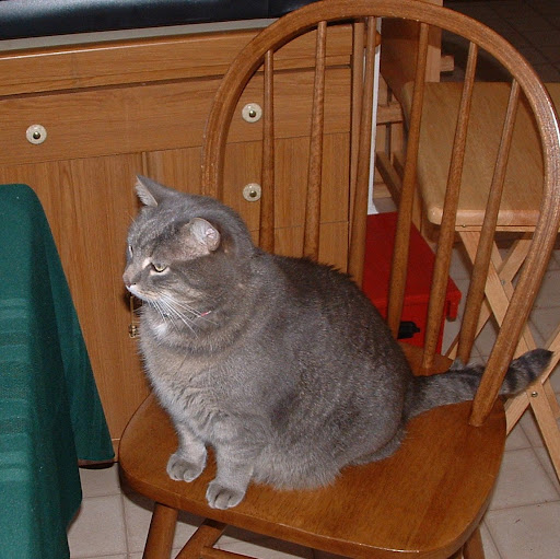 Nancy Staton Photo 2