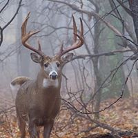 Kent Mayfield Photo 5