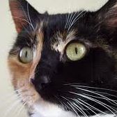 Frances Helton Photo 3