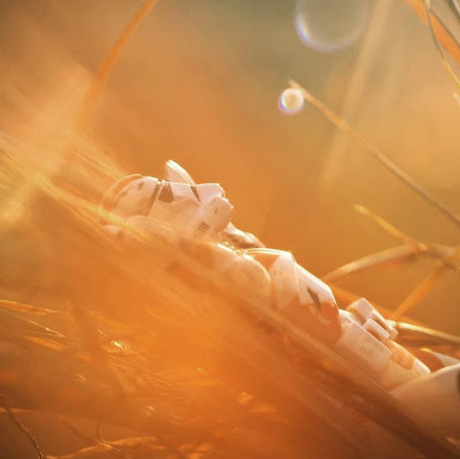 Jesse Vaughan Photo 12