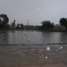 Ramona Rains Photo 9